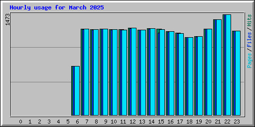 Hourly usage for March 2025