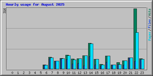 Hourly usage for August 2025