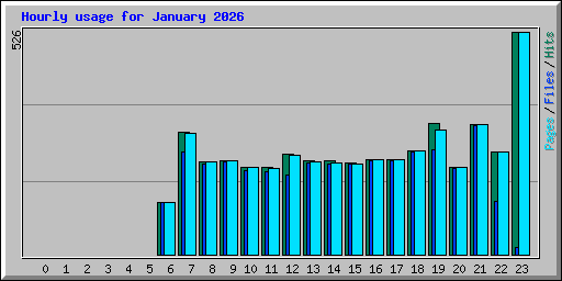 Hourly usage for January 2026